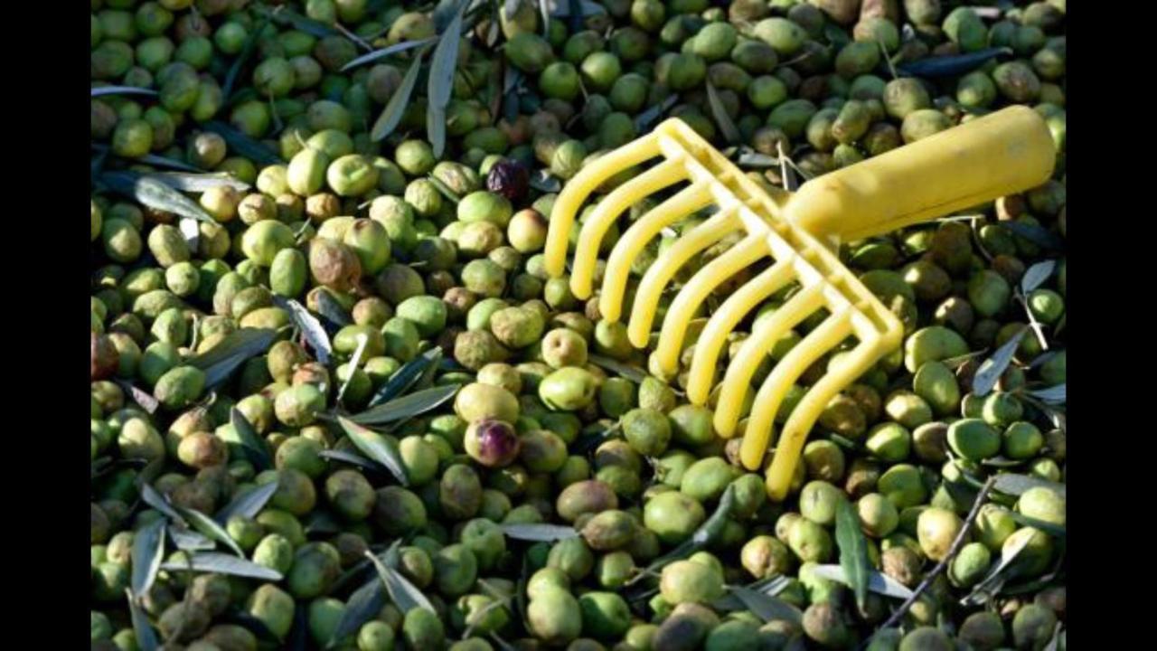 Hebergements Des Posas Sampzon Exterior foto